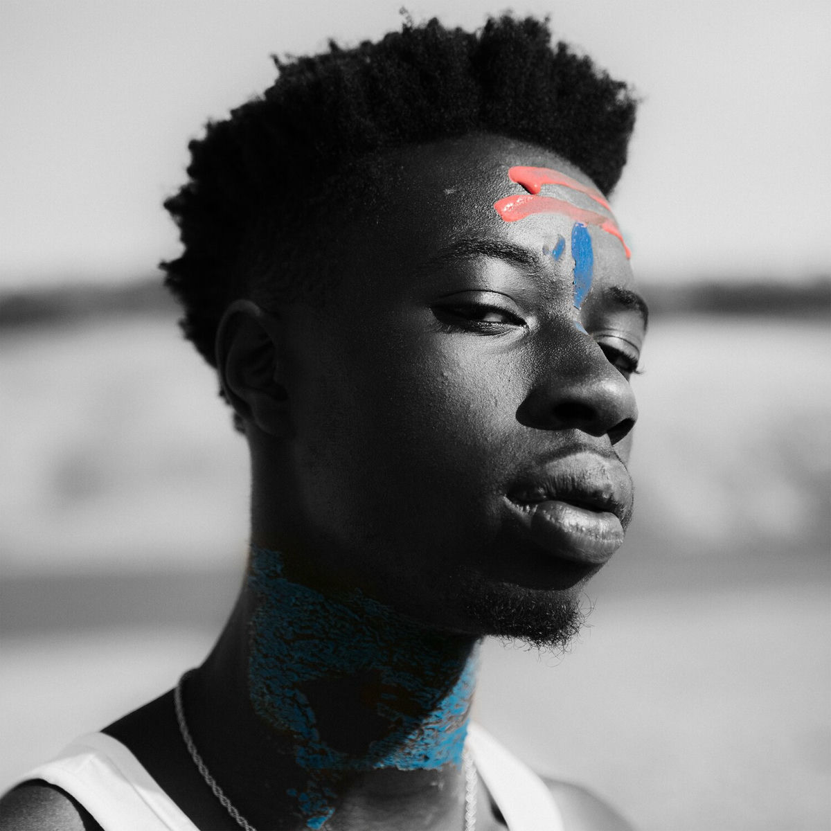Album cover of CHAKRA