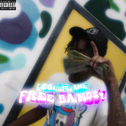 Freebands