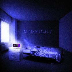 Cover of Midnight