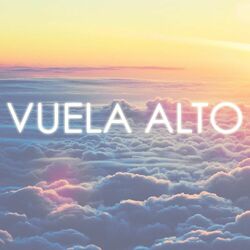 Cover of Vuela Alto