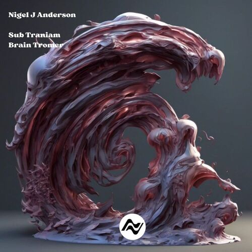 Nigel J Anderson - Sub Traniam (2025) Nigel J Anderson - Sub Traniam (2025)