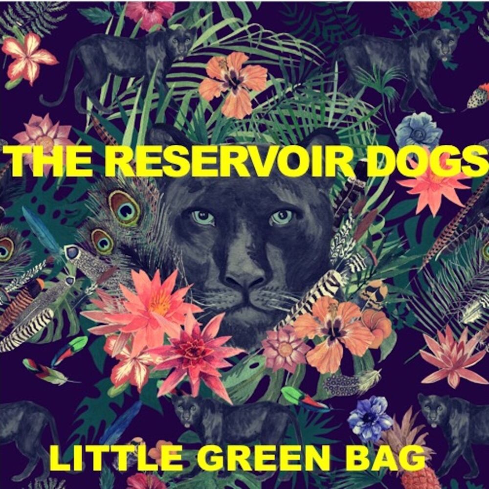 Picture of Little Green Bag