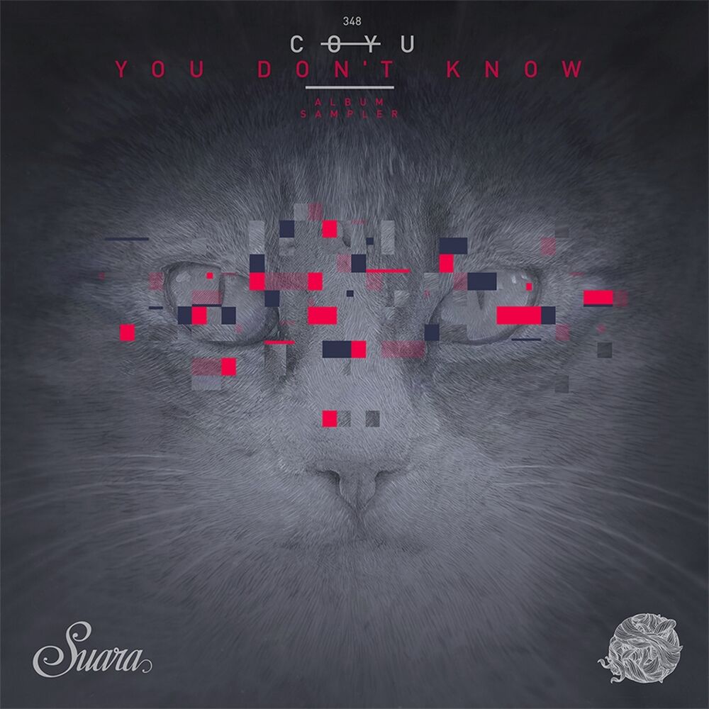 Picture of You Don't Know (Album Sampler)