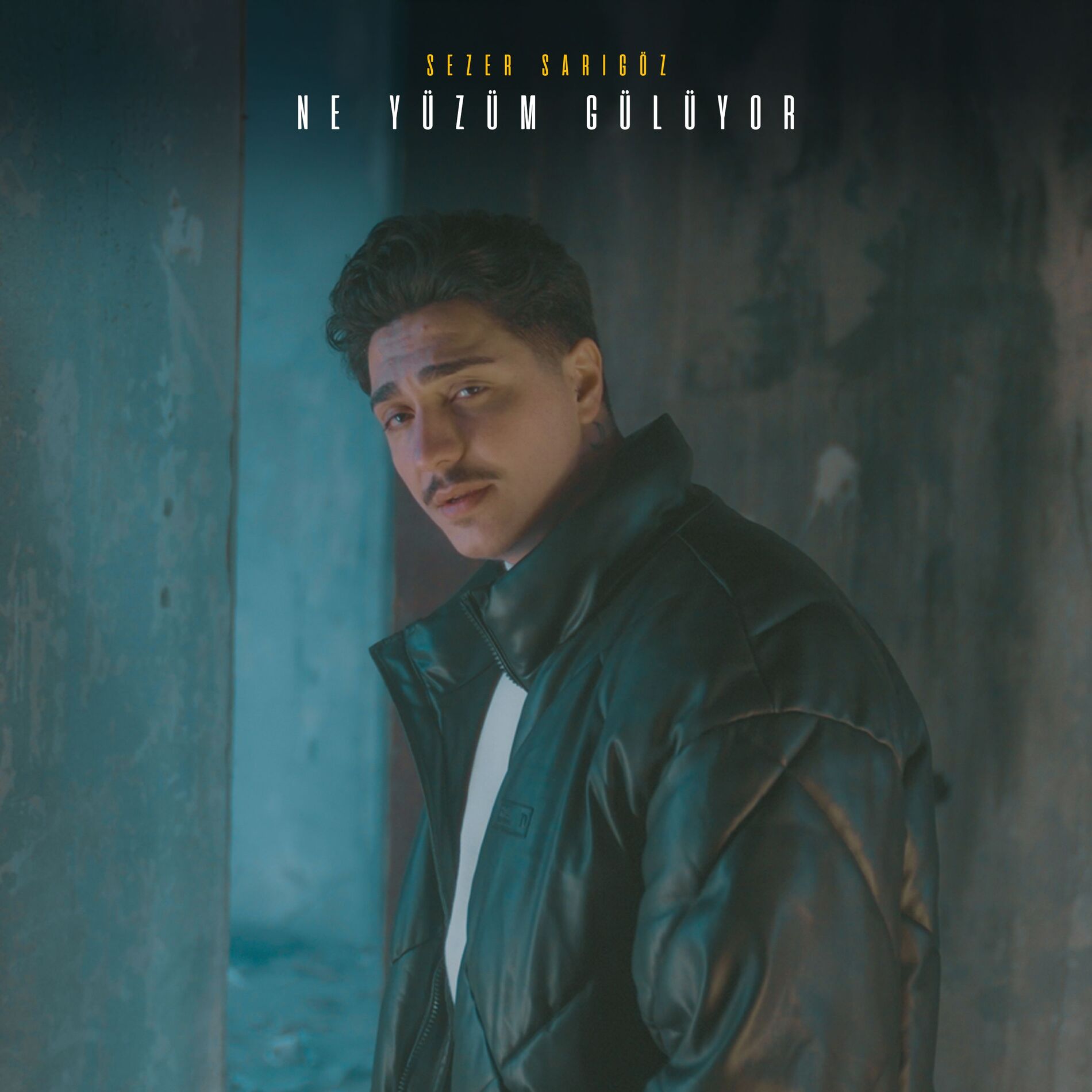 Album cover of Ne Yüzüm Gülüyor