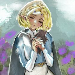 Cover of Ocarina of Time