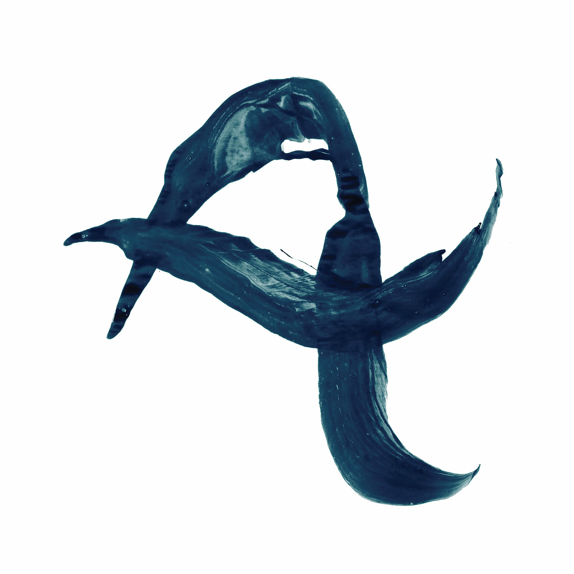 Album cover of Forever Unfolding