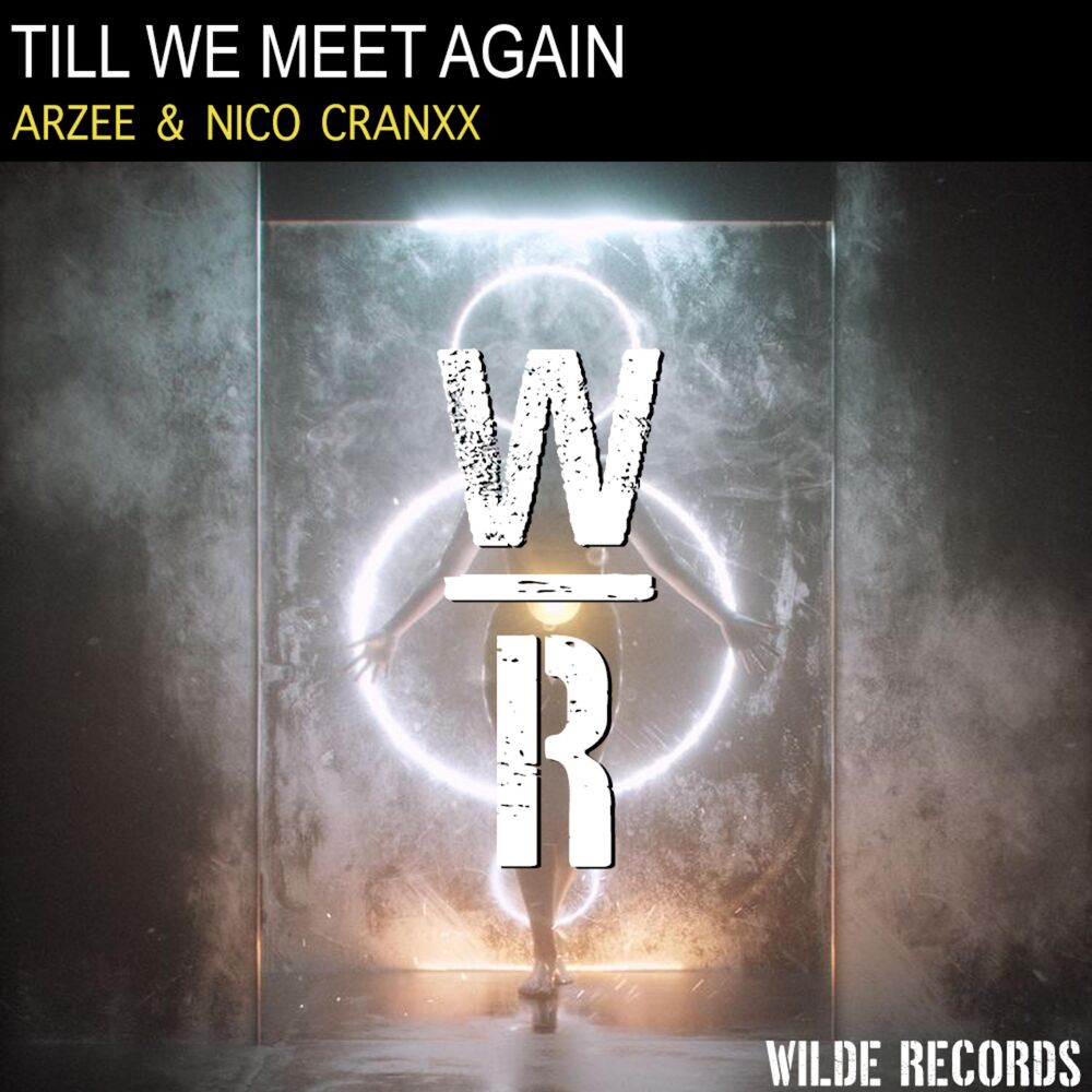Picture of Till We Meet Again