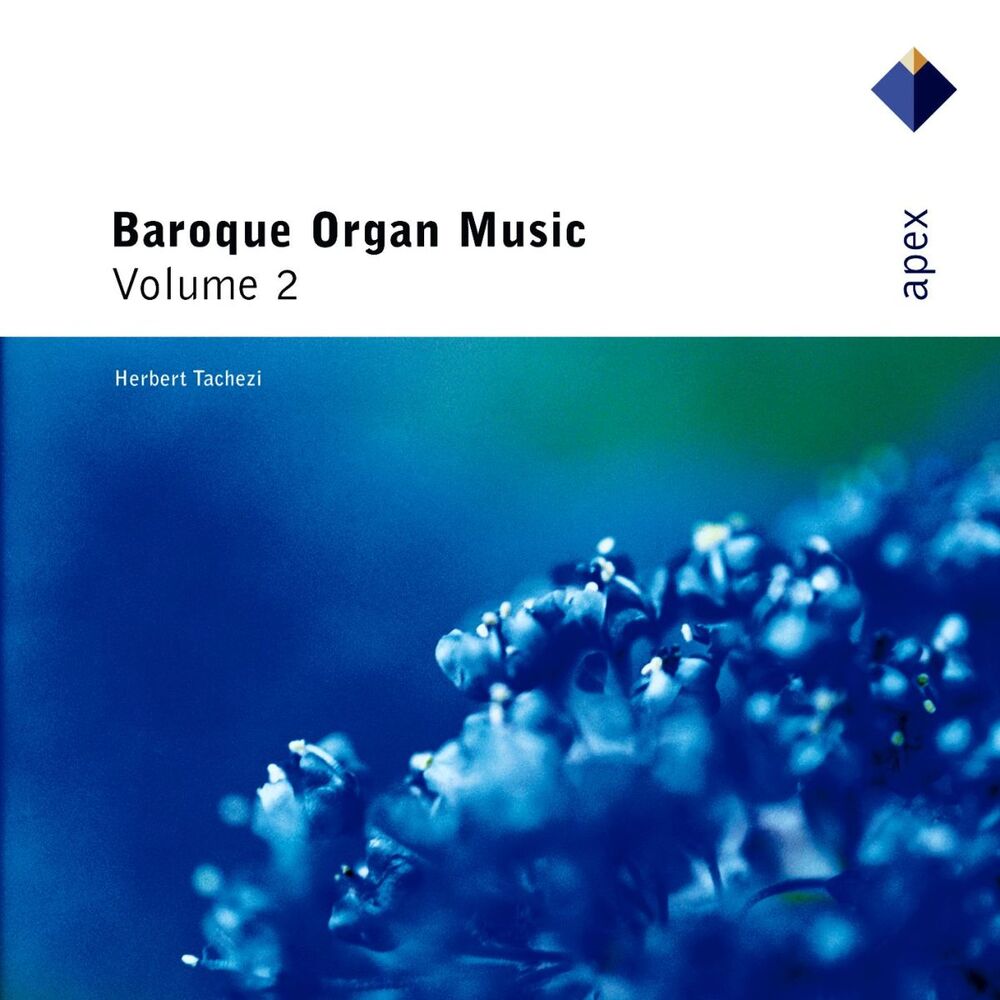 Picture of Baroque Organ Music Vol.2 (- Apex)