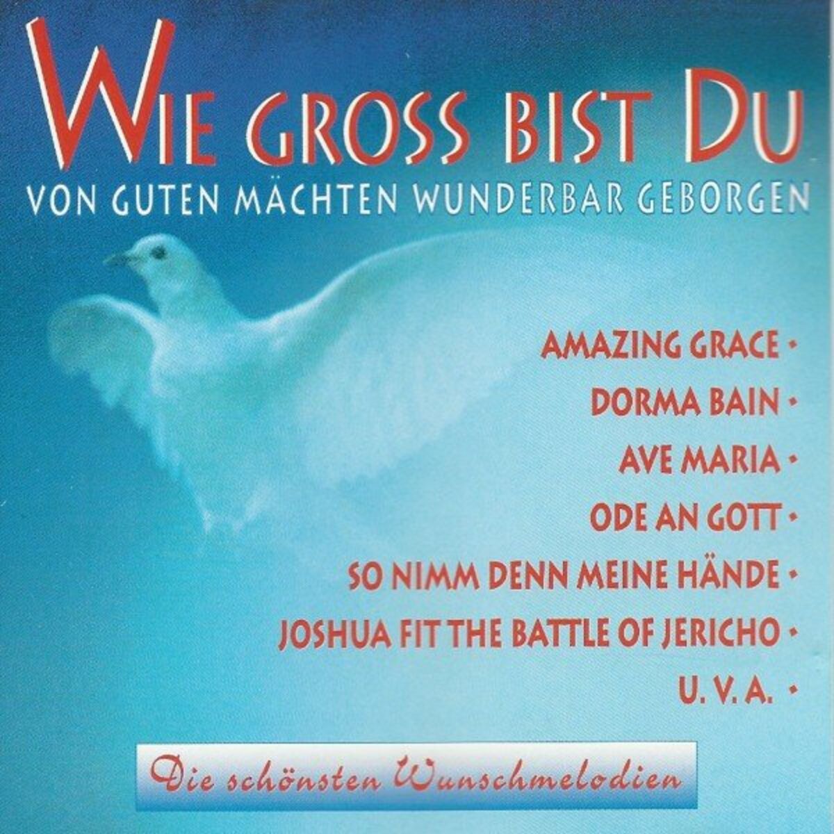 Album cover of Die schönsten Wunschmelodien (Wie gross bist du)