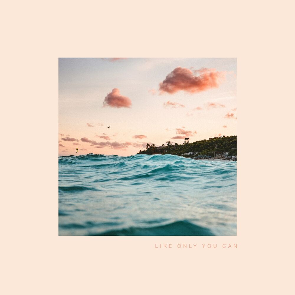Picture of Like Only You Can