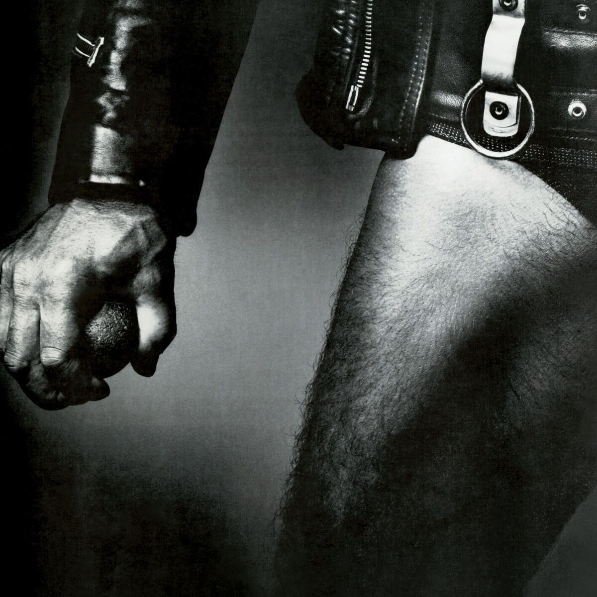 Album cover of Balls to the Wall
