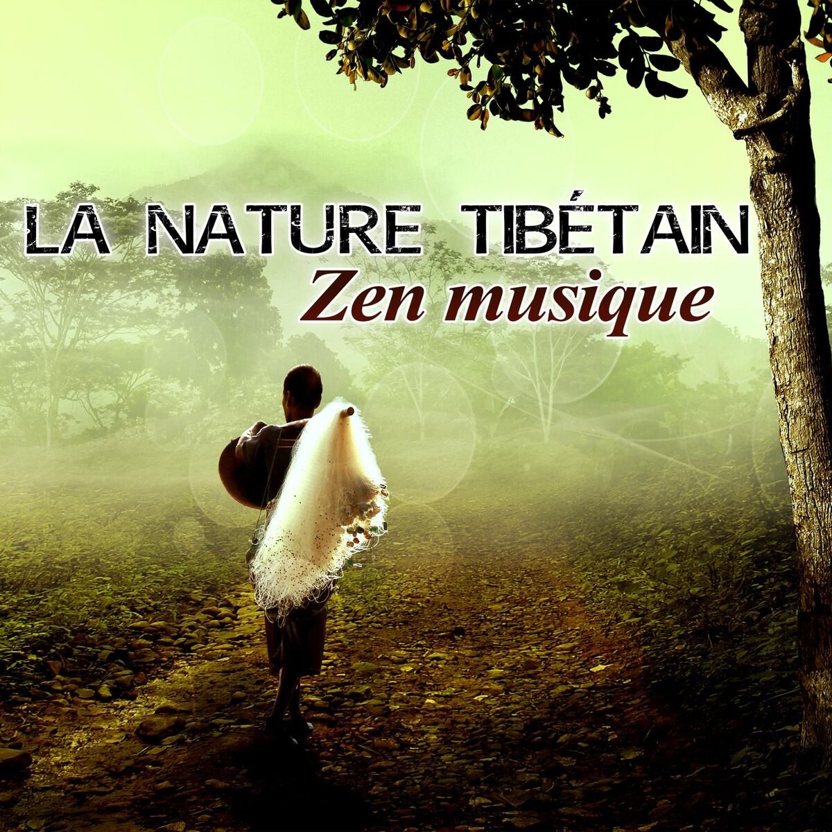 Album cover of Voyager sous les tropiques
