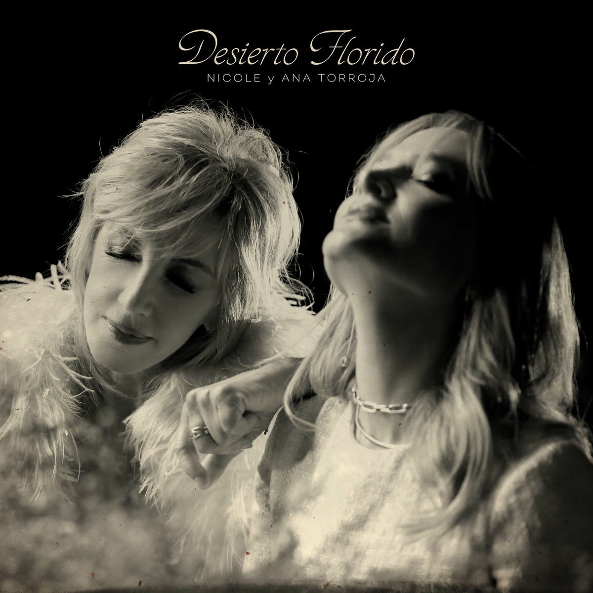 Album cover of Desierto Florido