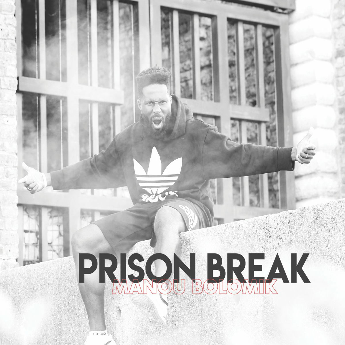 Album cover of Prison Break