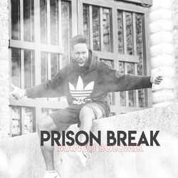 Cover of Prison Break