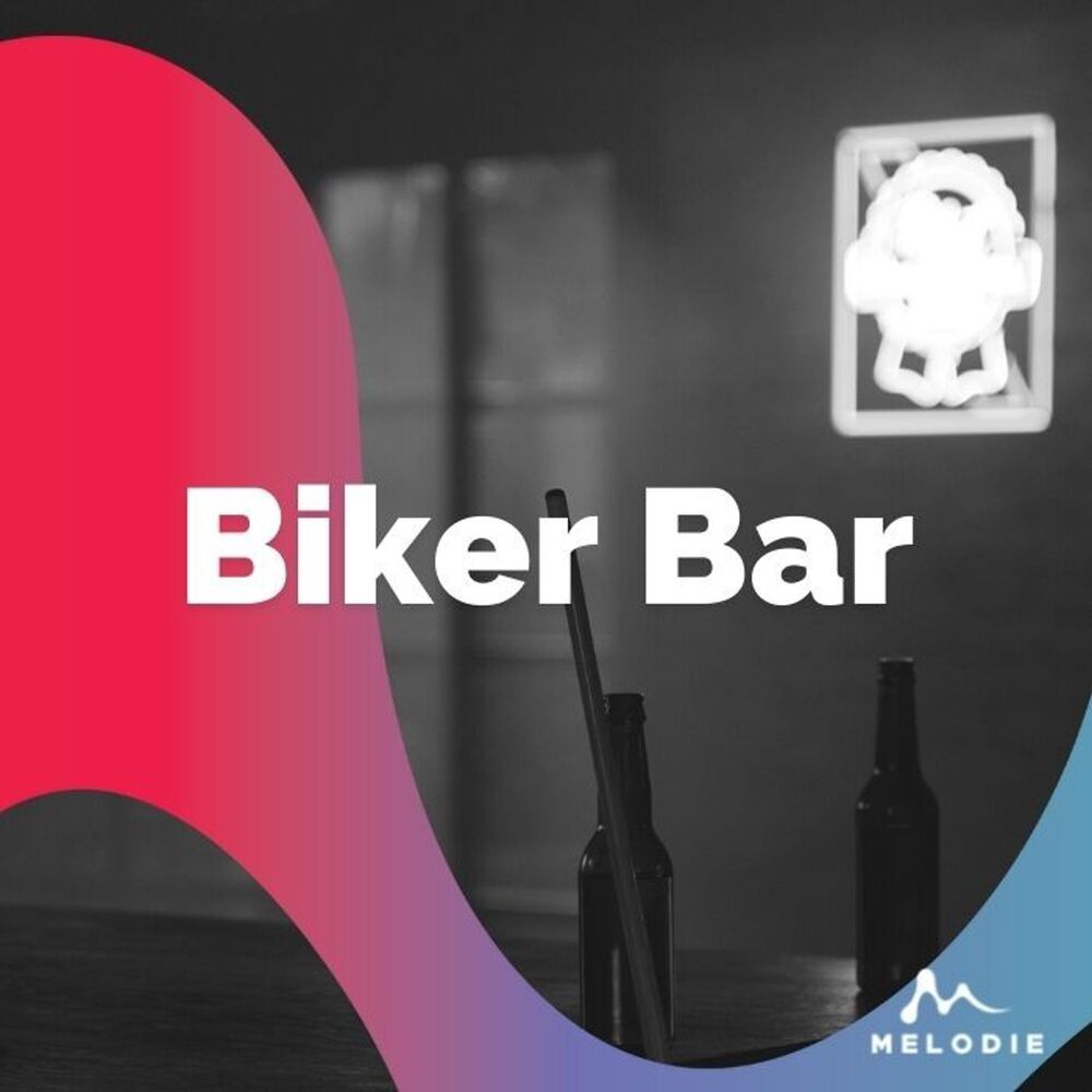 Picture of Biker Bar