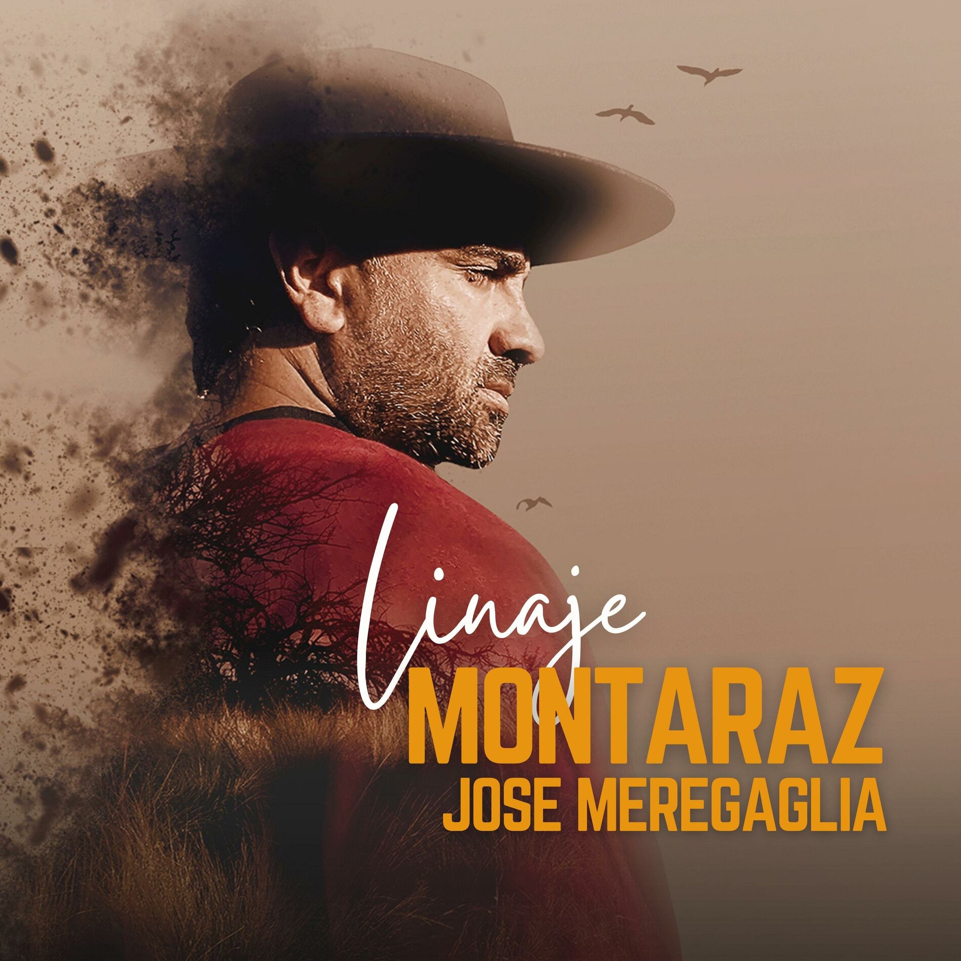 Album cover of Linaje Montaraz