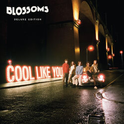 Cover of Cool Like You (Deluxe)