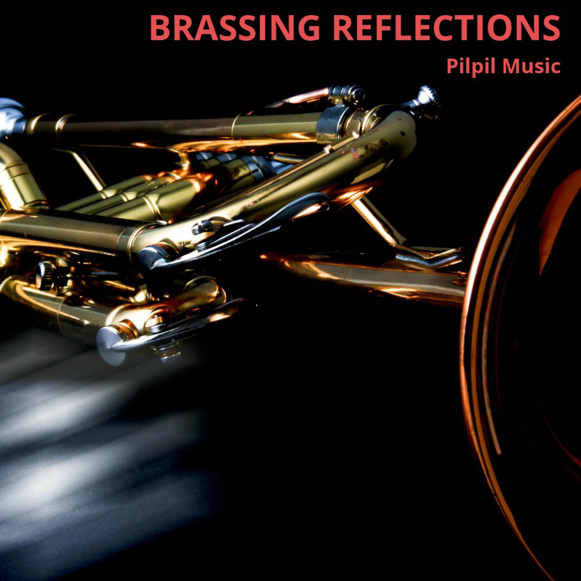 Album cover of Brassing Reflections