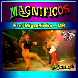 Cover of Em Frei Miguelinho Ao Vivo - 2012