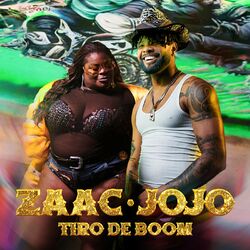Cover of Tiro De Boom