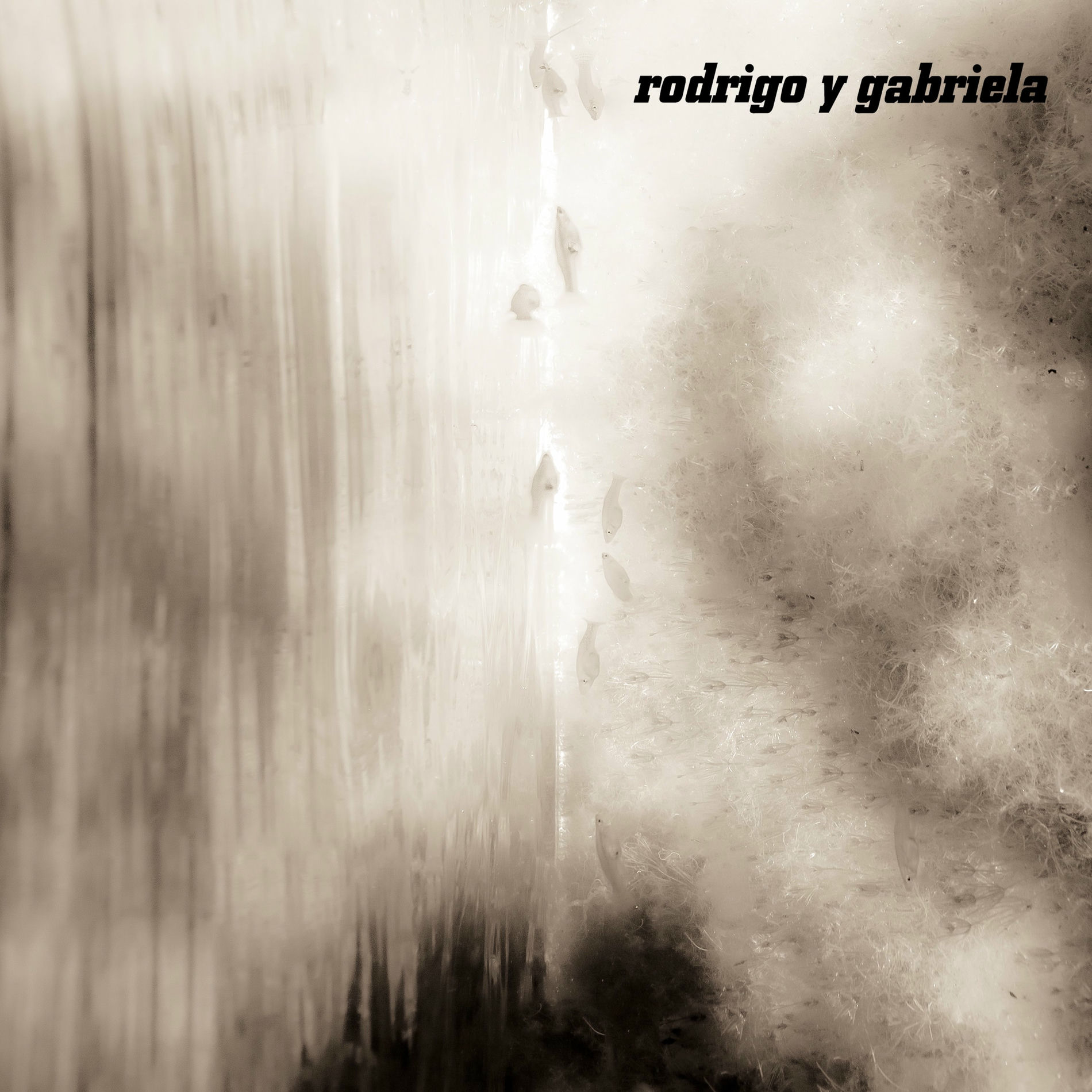 Album cover of Symphony No. 25 In G Minor, K.183 First Movement