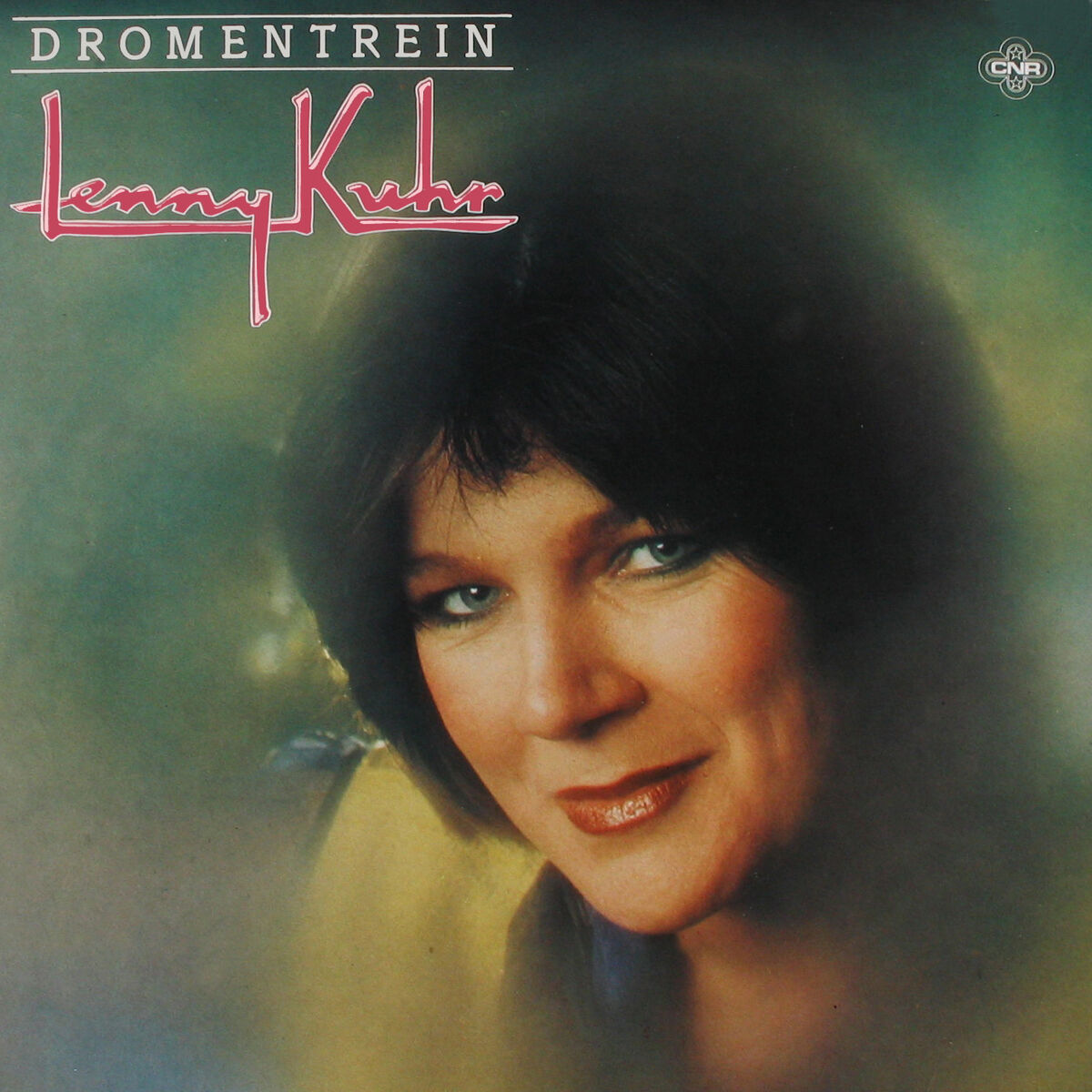 Album cover of Dromentrein
