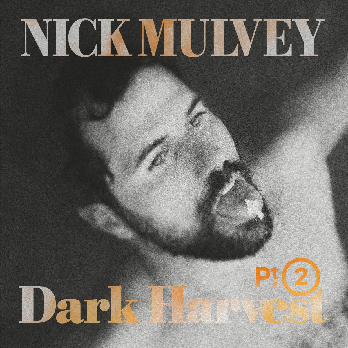 Album cover of Dark Harvest, Pt. 2