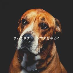 Cover of まったりチューンで犬を幸せに