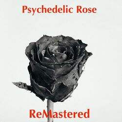 Cover of Psychedelic Rose