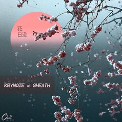 music cover