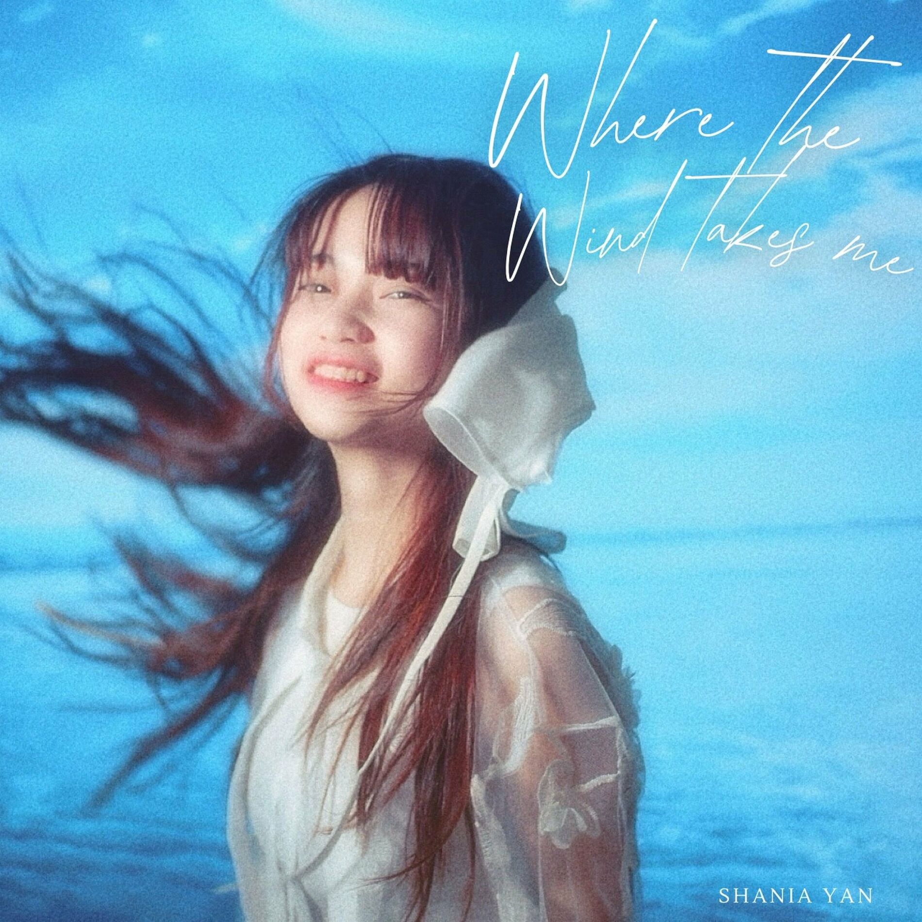 Album cover of Where the Wind Takes Me