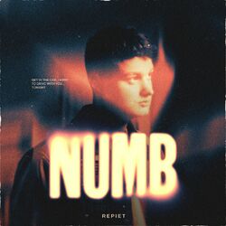 Cover of Numb
