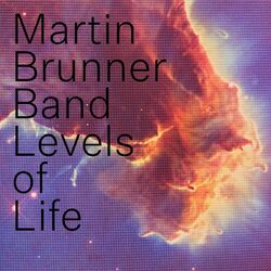 Cover of Levels of Life