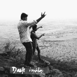 Cover of Dark invites