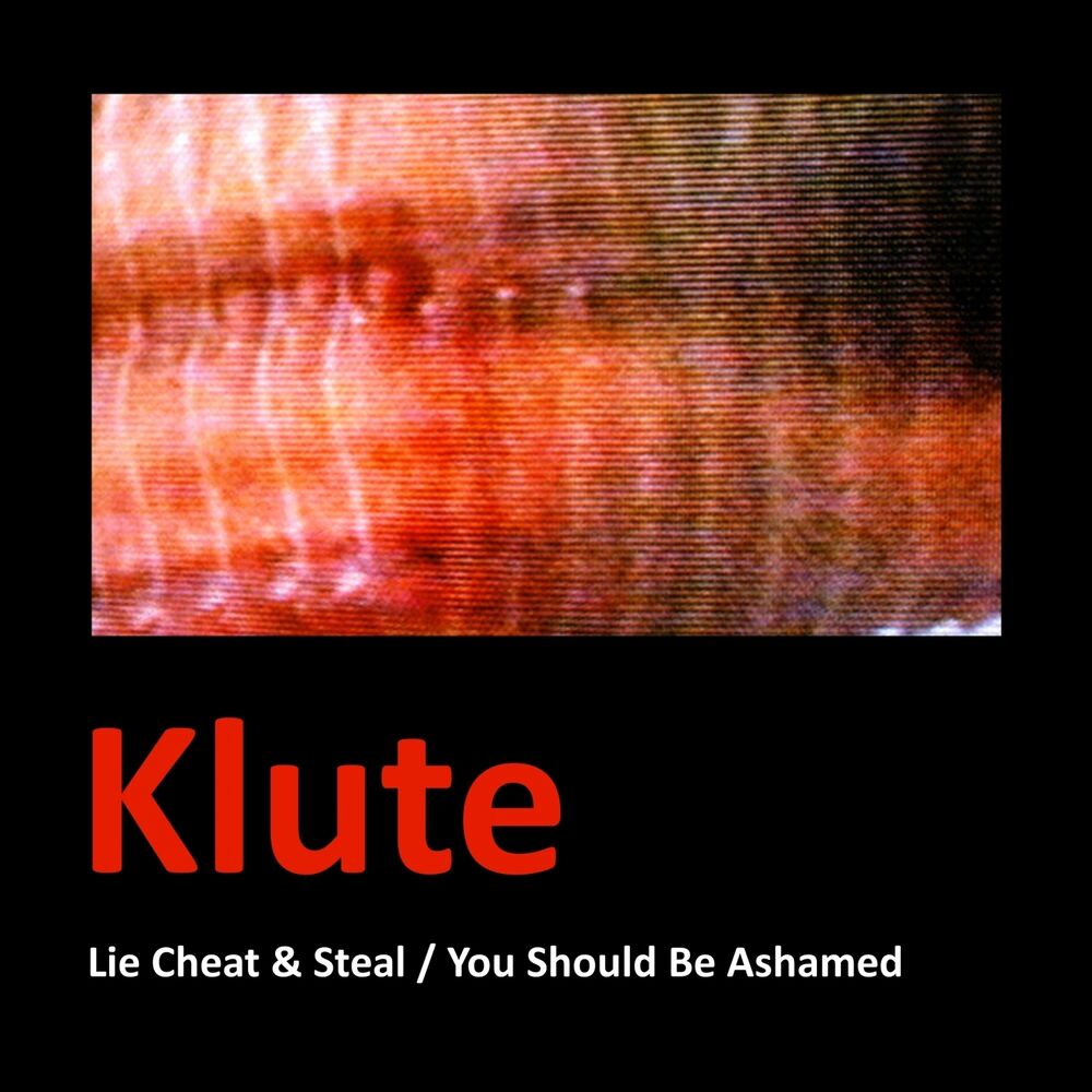 Picture of Lie Cheat & Steal / You Should Be Ashamed