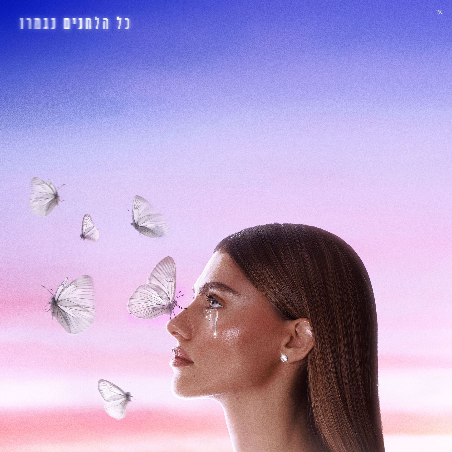 Album cover of פרפרים