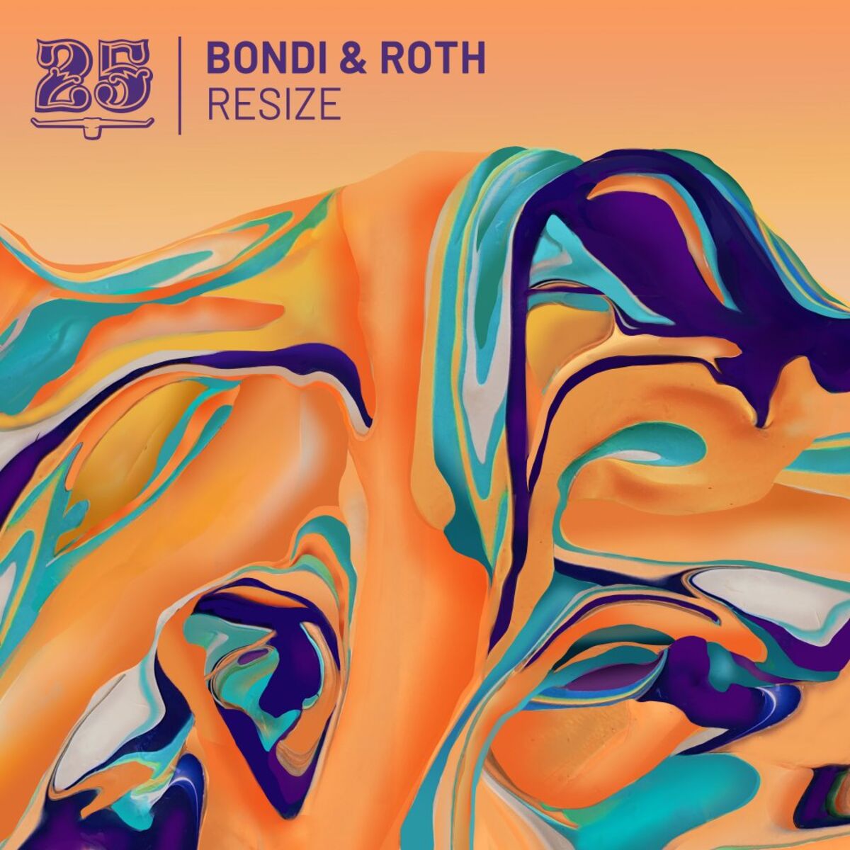 Album cover of Resize