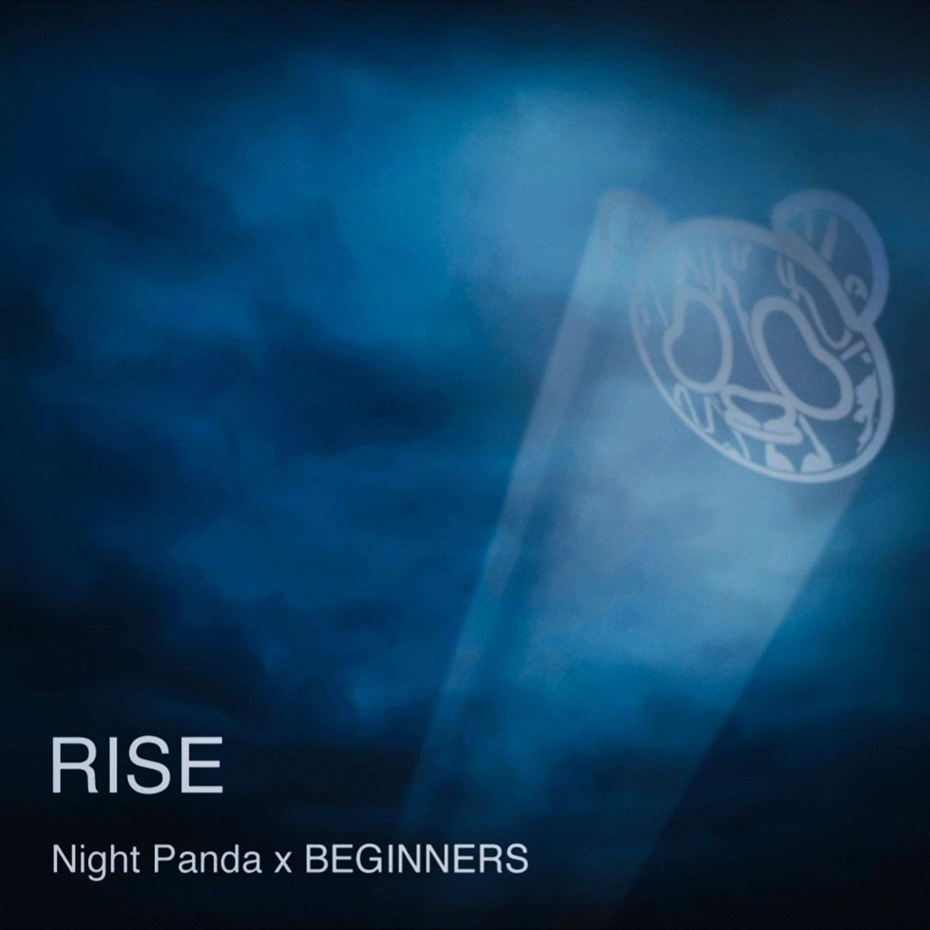 Album cover of Rise