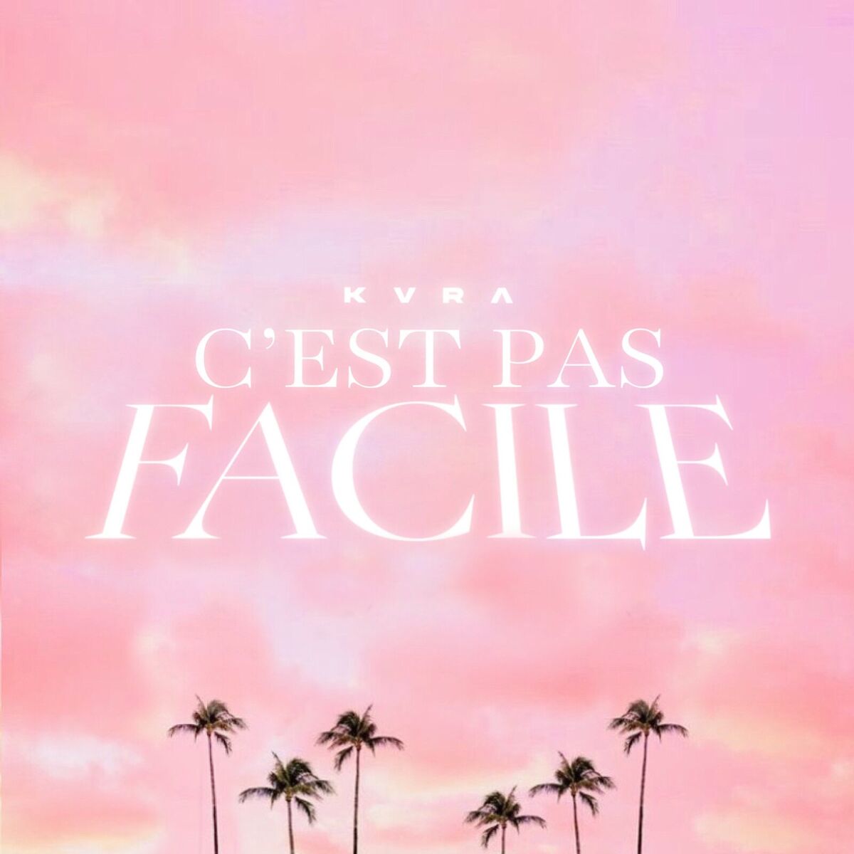 Album cover of C'est pas facile