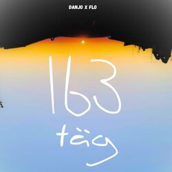 Cover of 163 täg