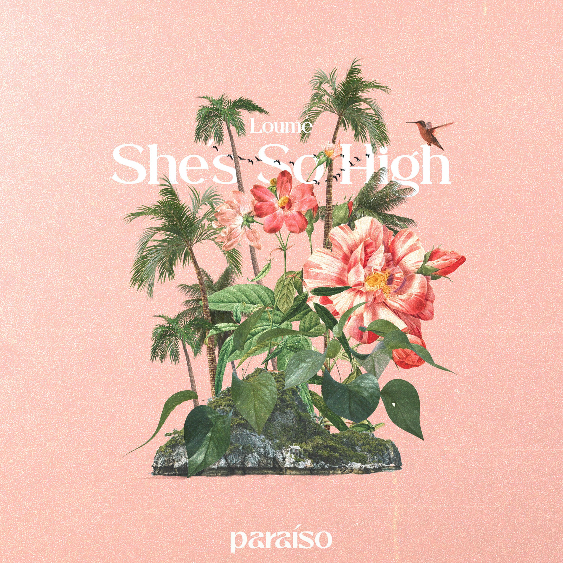Album cover of She's So High