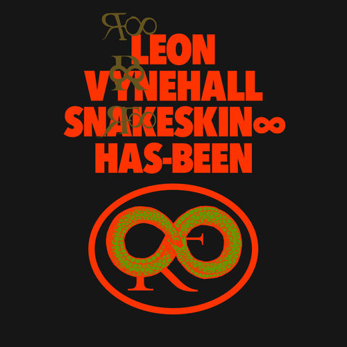 Snakeskin ∞ Has-Been - Edit by Leon Vynehall - 131 BPM