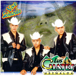 Cover of Vivo Sonando