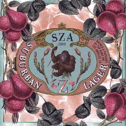 Cover of Z
