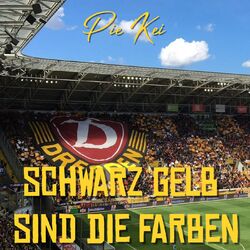 Cover of Schwarz Gelb sind die Farben