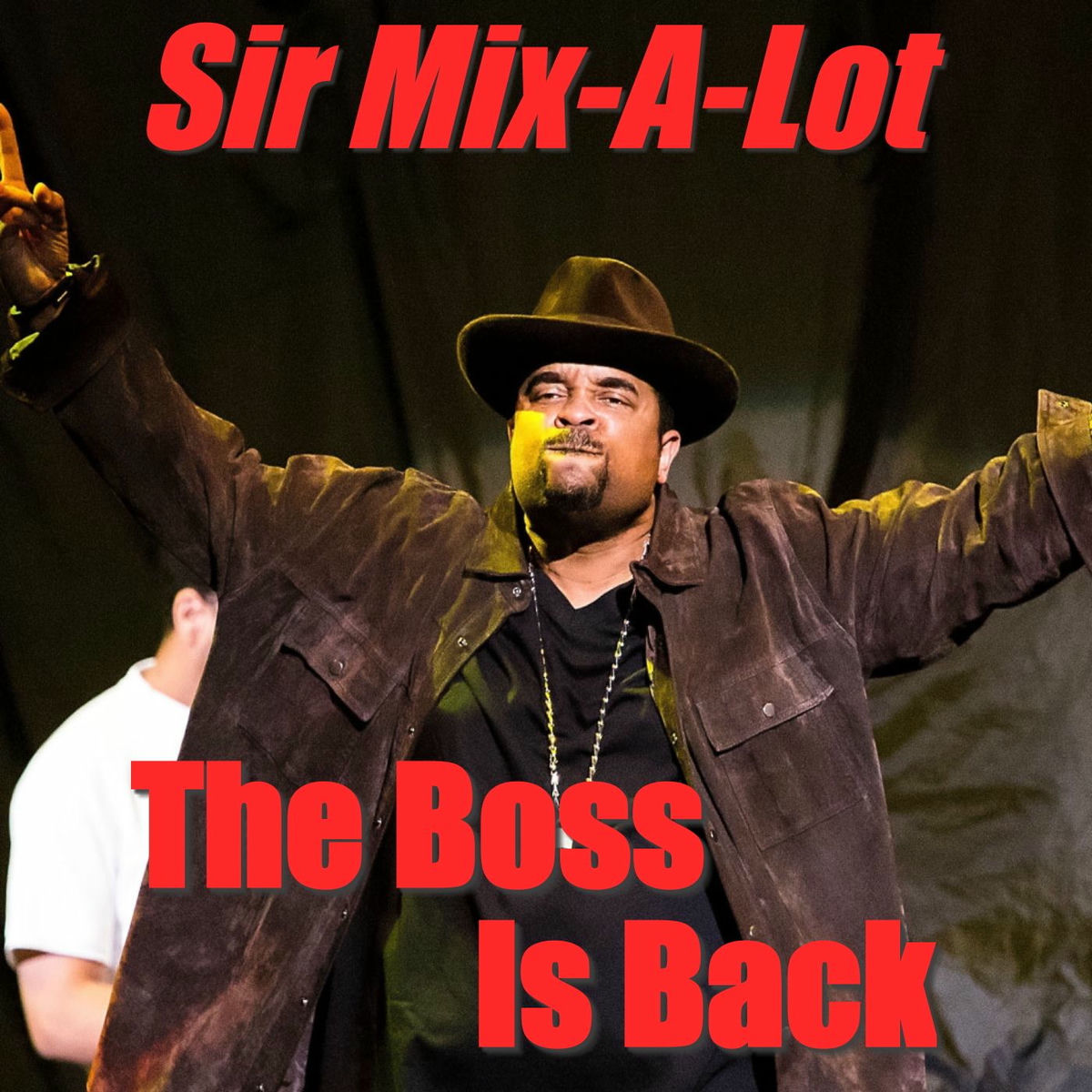 Album cover of The Boss Is Back