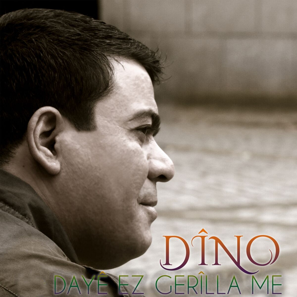 Album cover of Dayê Ez Gerîlla Me