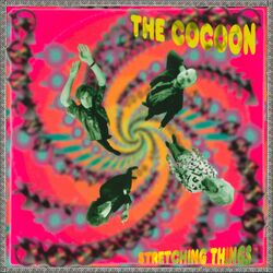 Cover of Stretching Things