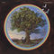 Time's Going Somewhere by Bill Fay album cover